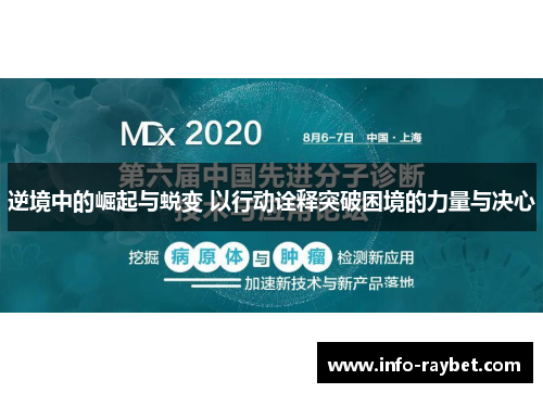 逆境中的崛起与蜕变 以行动诠释突破困境的力量与决心
