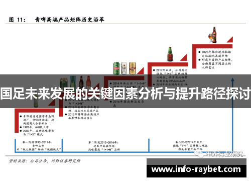 国足未来发展的关键因素分析与提升路径探讨