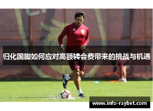归化国脚如何应对高额转会费带来的挑战与机遇