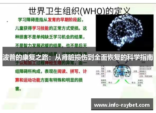 波普的康复之路：从肾脏损伤到全面恢复的科学指南