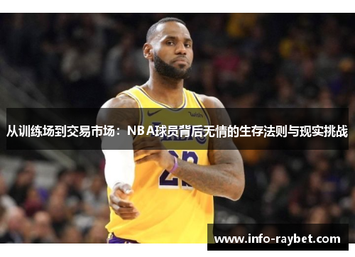 从训练场到交易市场：NBA球员背后无情的生存法则与现实挑战