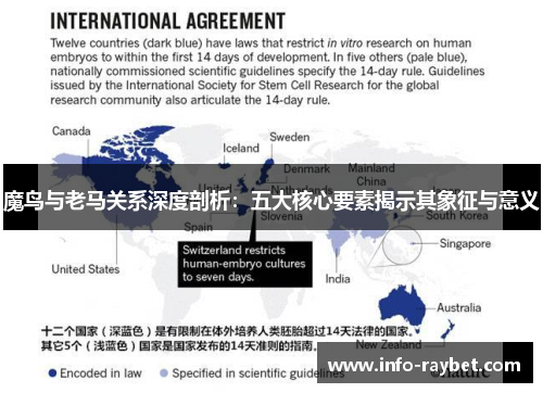 魔鸟与老马关系深度剖析：五大核心要素揭示其象征与意义