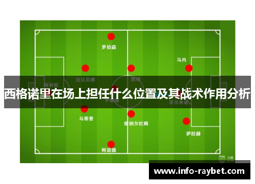 西格诺里在场上担任什么位置及其战术作用分析