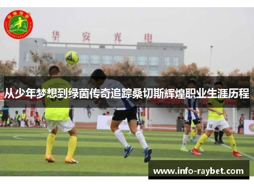 从少年梦想到绿茵传奇追踪桑切斯辉煌职业生涯历程